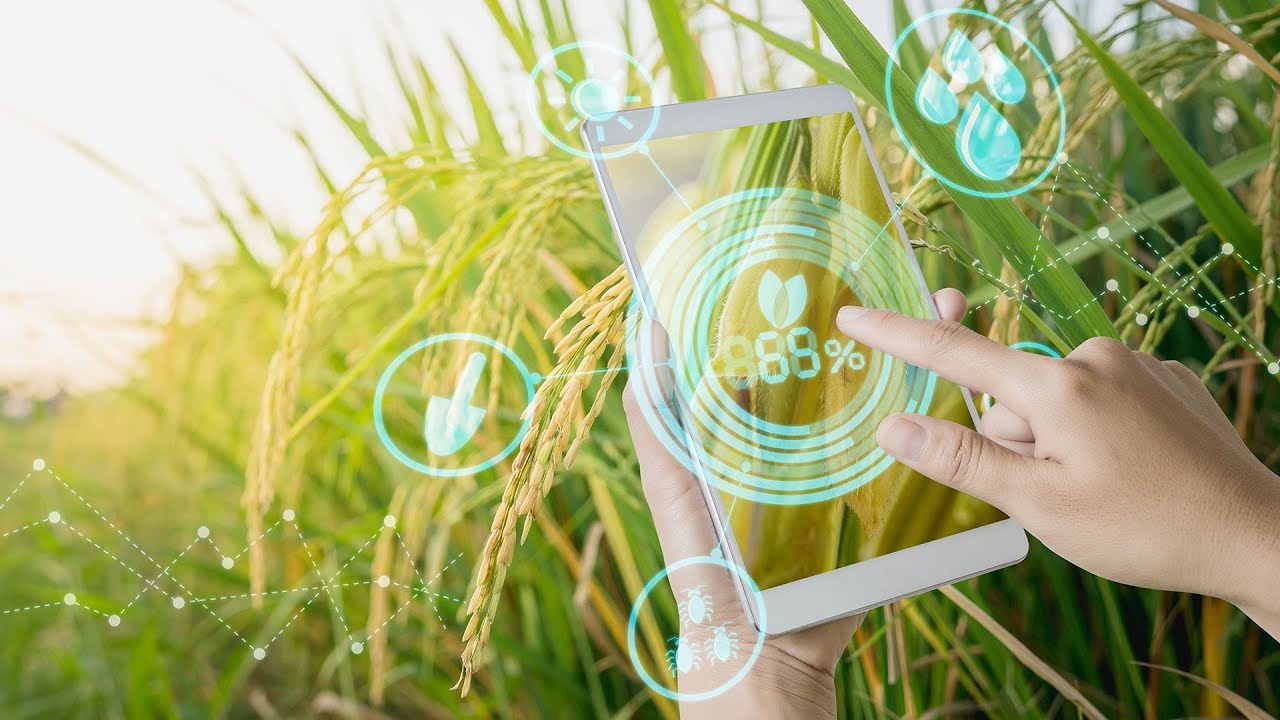 AI Applications in Agriculture